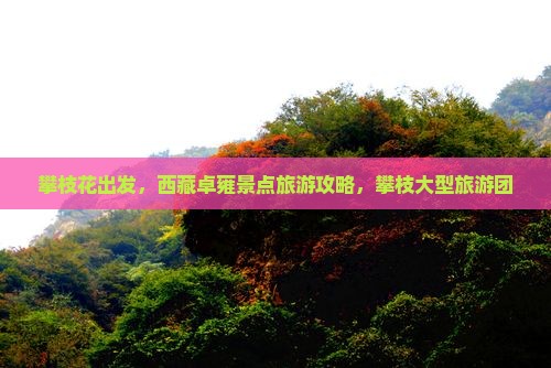 攀枝花去西藏羊卓雍措大型旅游团