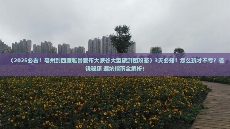 亳州到西藏雅鲁藏布大峡谷大型旅游团