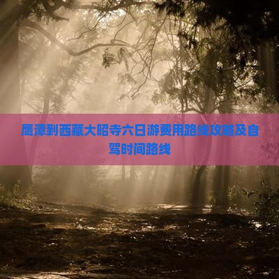 鹰潭到西藏大昭寺六日游