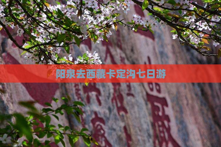 阳泉去西藏卡定沟七日游