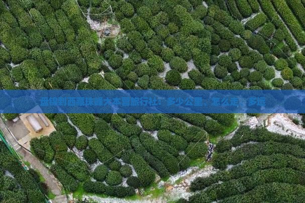 盘锦到西藏珠峰大本营旅行社
