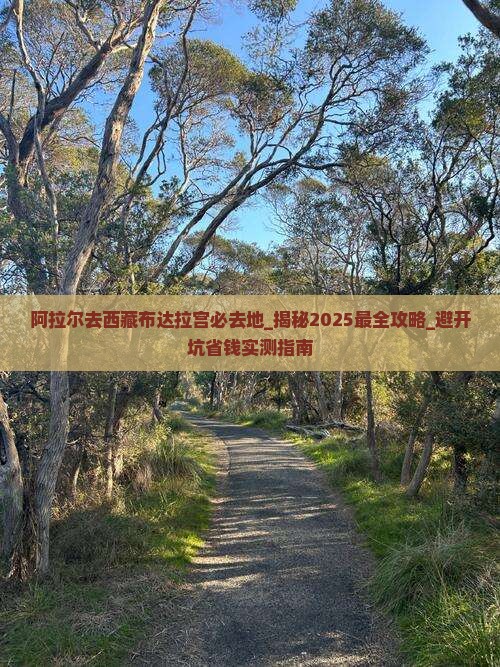 阿拉尔去西藏布达拉宫必去地