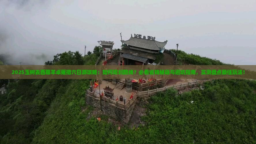 玉树去西藏羊卓雍措六日游