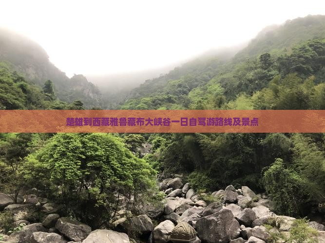 楚雄到西藏雅鲁藏布大峡谷一日