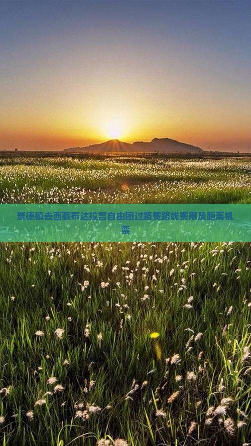 景德镇去西藏布达拉宫自由团