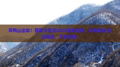 双鸭山到西藏卡定沟攻略