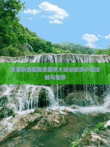 贵港到西藏雅鲁藏布大峡谷旅游小吃