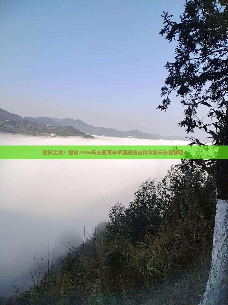 重庆去西藏羊卓雍措必去地 重庆去西藏羊卓雍措必去地