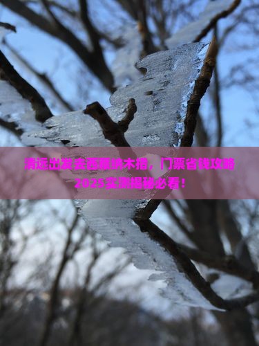 清远到西藏纳木措门票