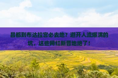 昌都到西藏布达拉宫必去地