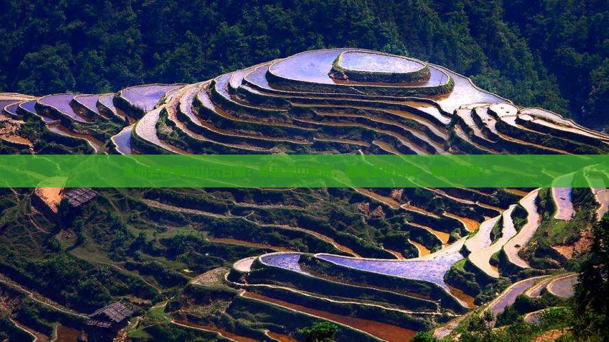 惠州去西藏色季拉山六日游