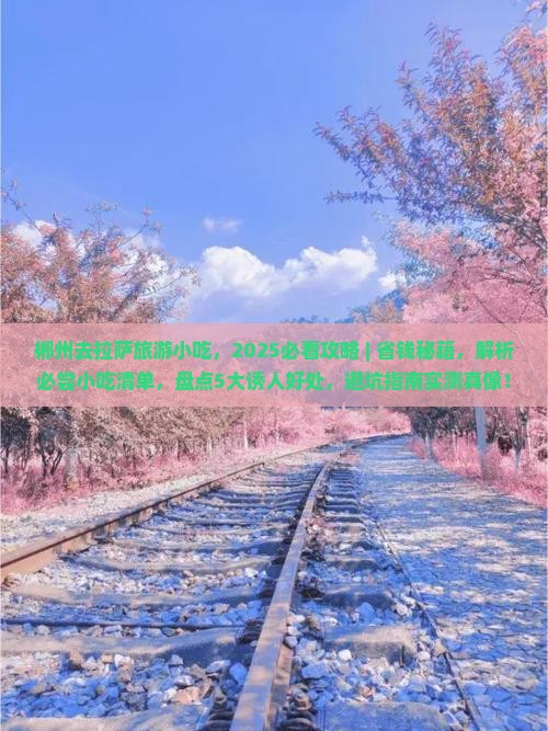郴州去西藏拉萨旅游小吃