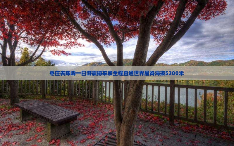 枣庄去西藏珠峰大本营一日