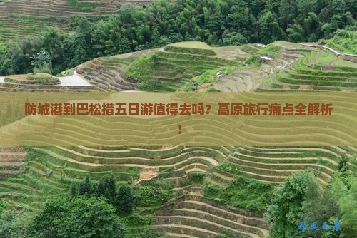 防城港到西藏巴松措五日游