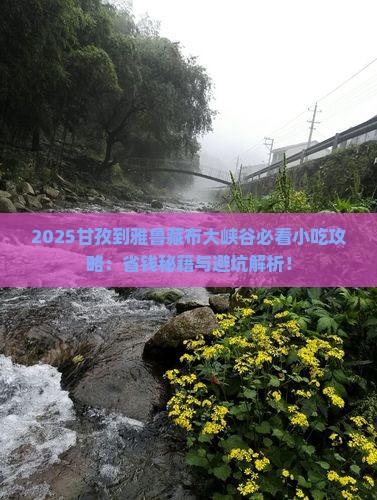 甘孜到西藏雅鲁藏布大峡谷旅游小吃