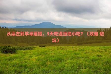 崇左去西藏羊卓雍措旅游小吃
