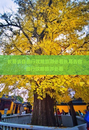 长葛去西藏自由行