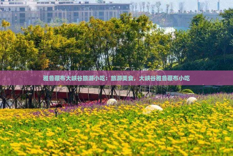 昭通去西藏雅鲁藏布大峡谷旅游小吃 昭通去西藏雅鲁藏布大峡谷旅游小吃
