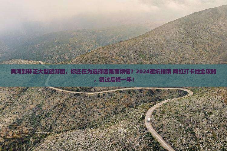 黑河到西藏林芝大型旅游团