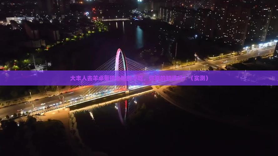 大丰去西藏羊卓雍措旅游小吃