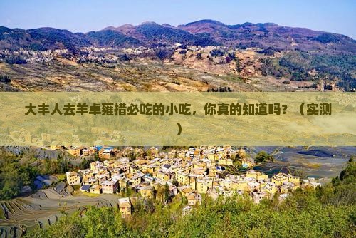 大丰去西藏羊卓雍措旅游小吃