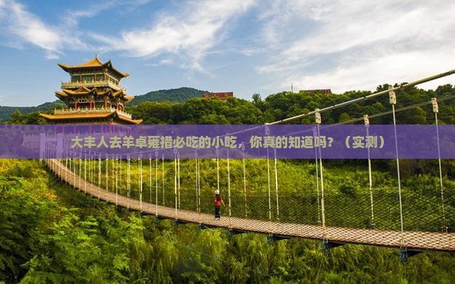 大丰去西藏羊卓雍措旅游小吃