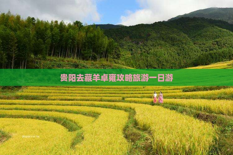 贵阳去西藏羊卓雍措一日