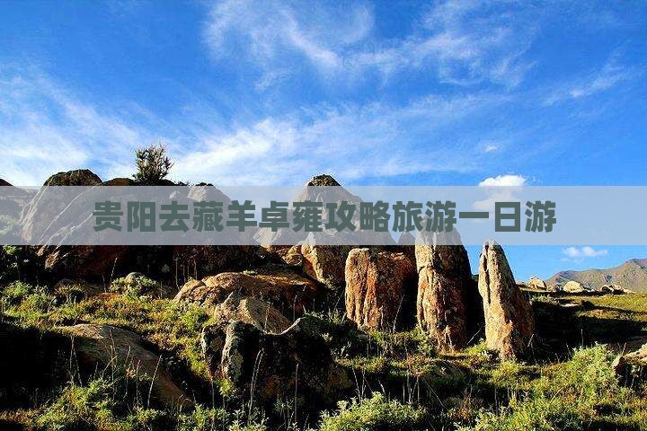 贵阳去西藏羊卓雍措一日