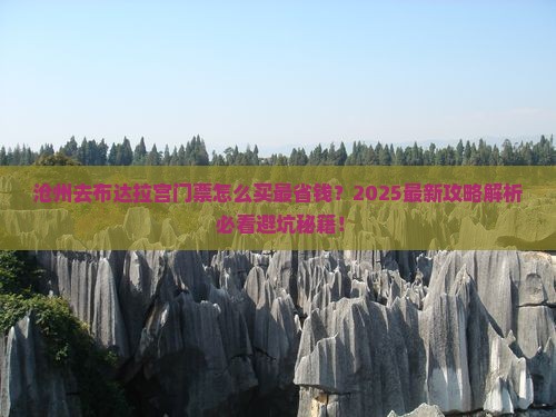 沧州去西藏布达拉宫门票