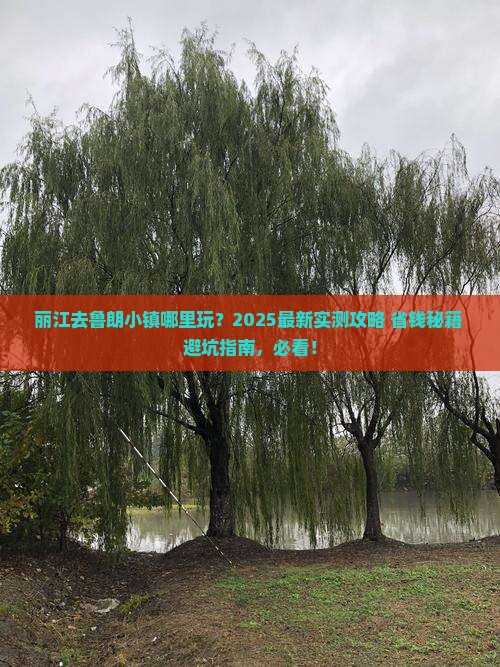 丽江去西藏鲁朗小镇哪里玩