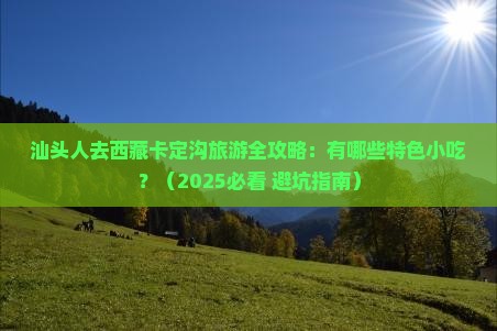 汕头到西藏卡定沟旅游小吃