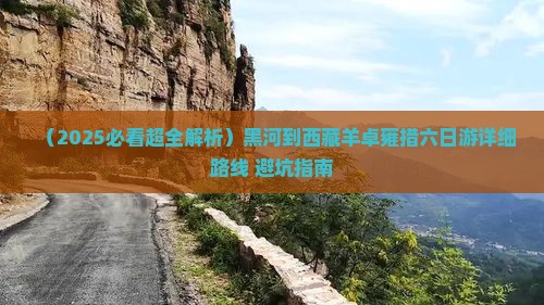 黑河去西藏羊卓雍措六日游