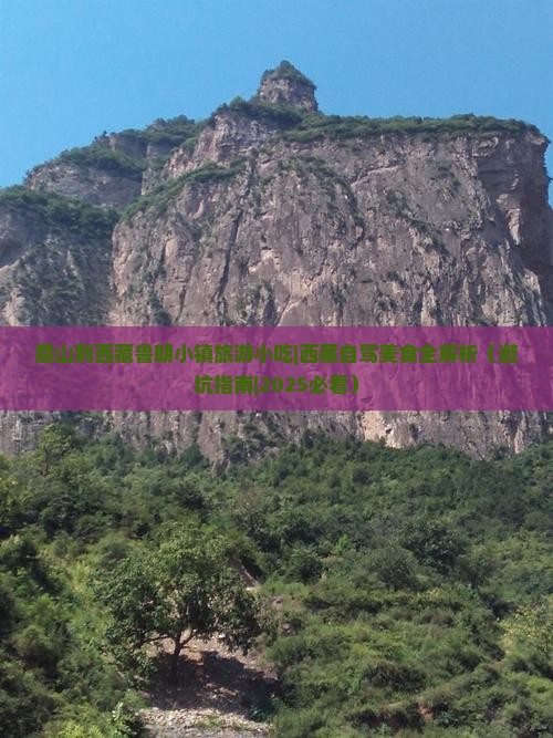 眉山到西藏鲁朗小镇旅游小吃