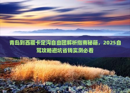 青岛到西藏卡定沟自由团
