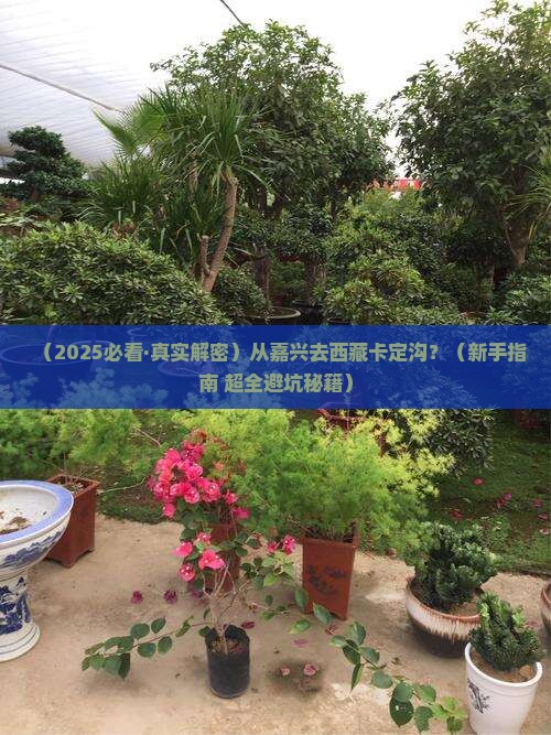 嘉兴到西藏卡定沟攻略