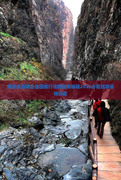 陇南去西藏自由团