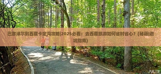 巴彦倬尔到西藏卡定沟攻略