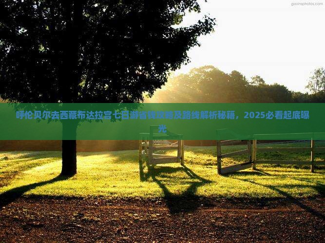 呼伦贝尔去西藏布达拉宫七日游