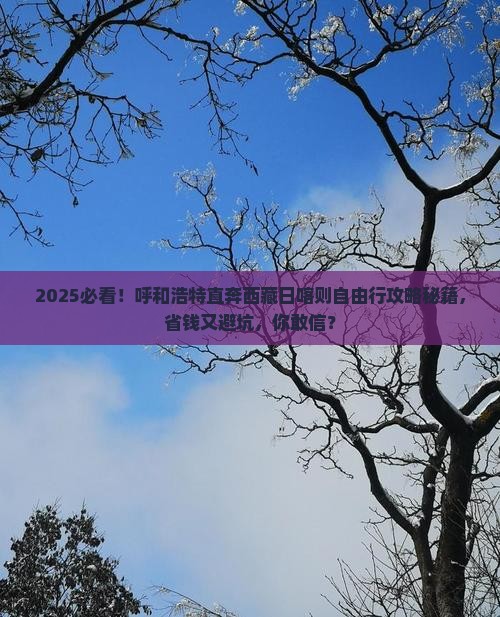 呼和浩特到西藏日喀则自由团