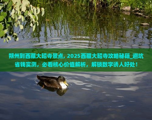 朔州到西藏大昭寺景点