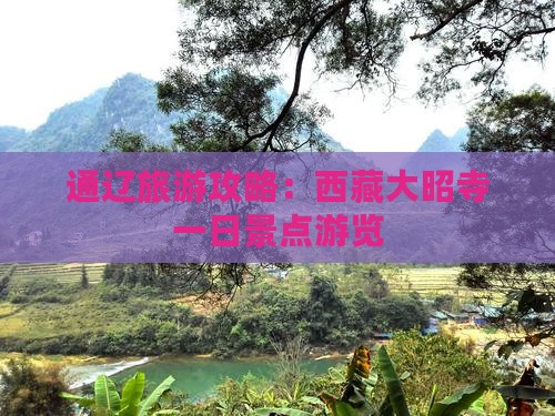 通辽去西藏大昭寺一日