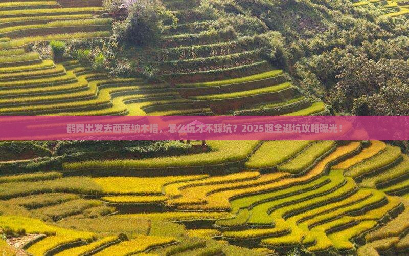 鹤岗去西藏纳木措旅行社