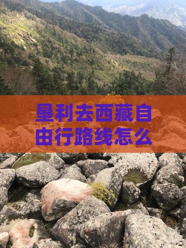 垦利去西藏自由行