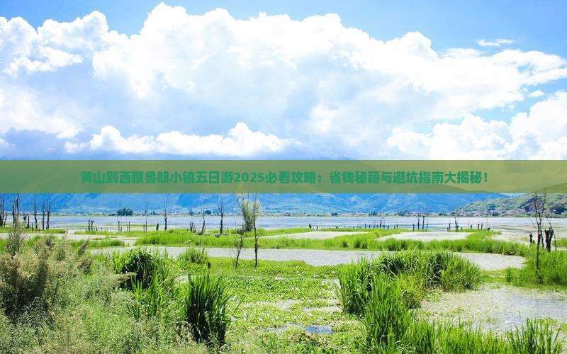 黄山到西藏鲁朗小镇五日游