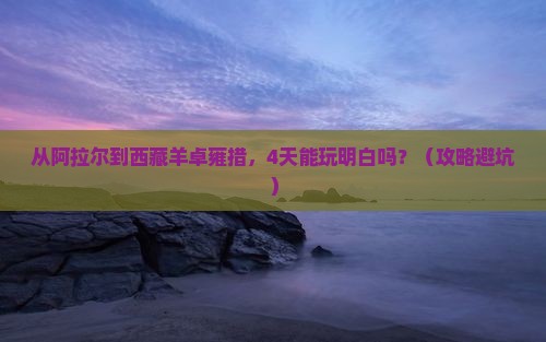 阿拉尔去西藏羊卓雍措四日游