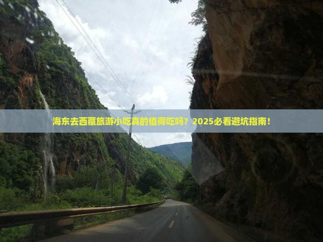 海东去西藏旅游小吃