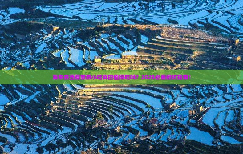 海东去西藏旅游小吃
