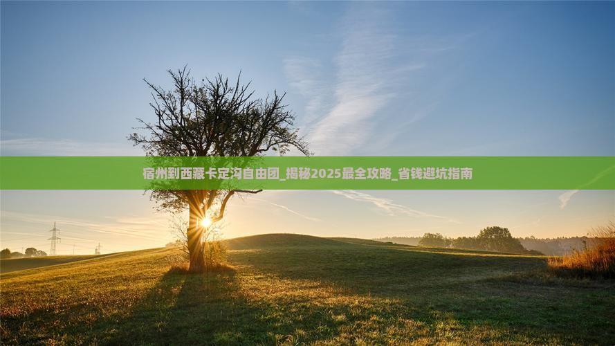 宿州到西藏卡定沟自由团