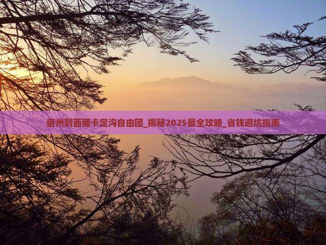 宿州到西藏卡定沟自由团