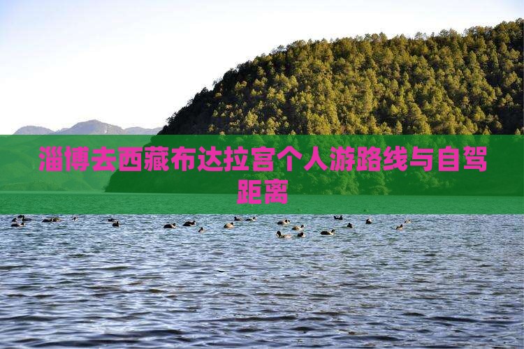 淄博去西藏布达拉宫个人游